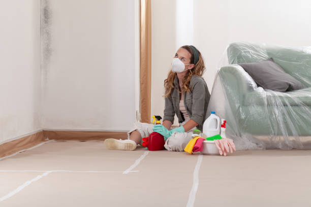 Reliable Mold Remediation contractor in Millis, MA by Car Mold Remediation